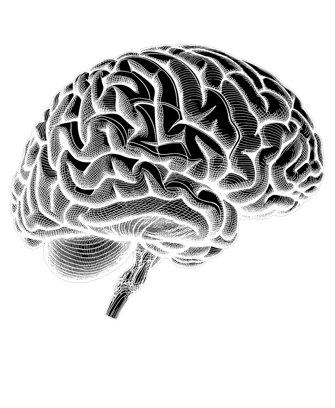 Dudnienia różnicowe Dudnienia różnicowe - synchronizacja półkul mózgowych