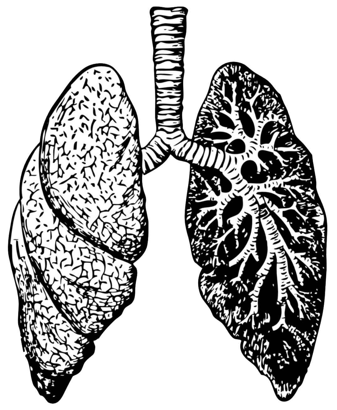 Oddech somatyczny Oddech somatyczny - technika pracy z ciałem
