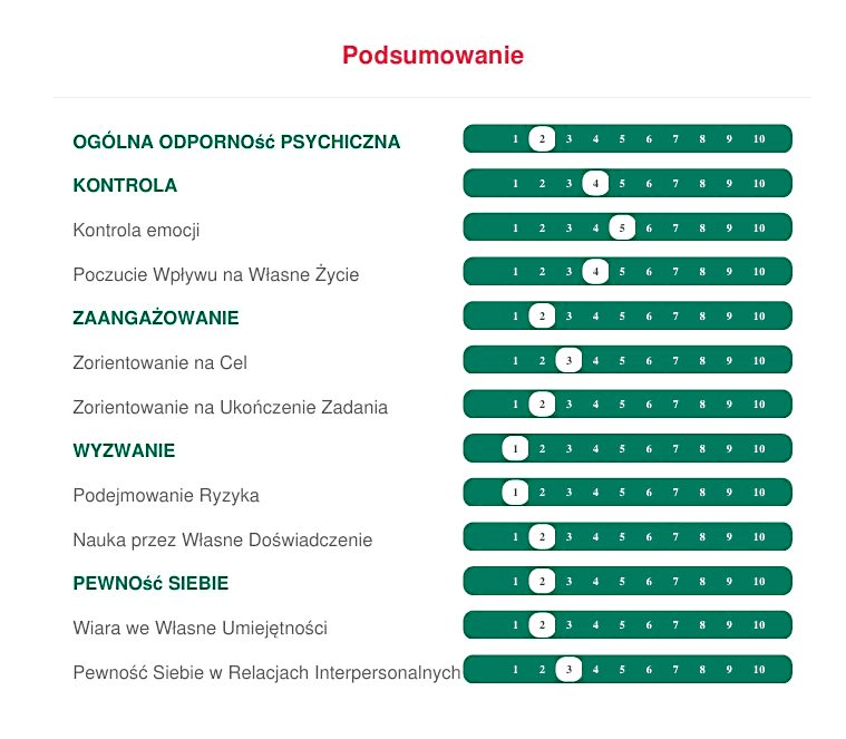 Przykładowy raport MTQ+